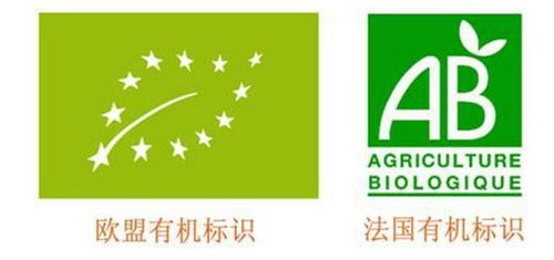 清河信息技術(shù)服務管理體系認證步驟